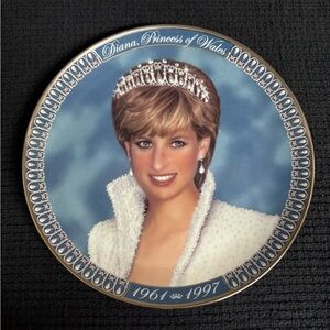 Diana Princess of Wales Plate Franklin Mint Collectors Ltd. Edition SHIPS FAST!